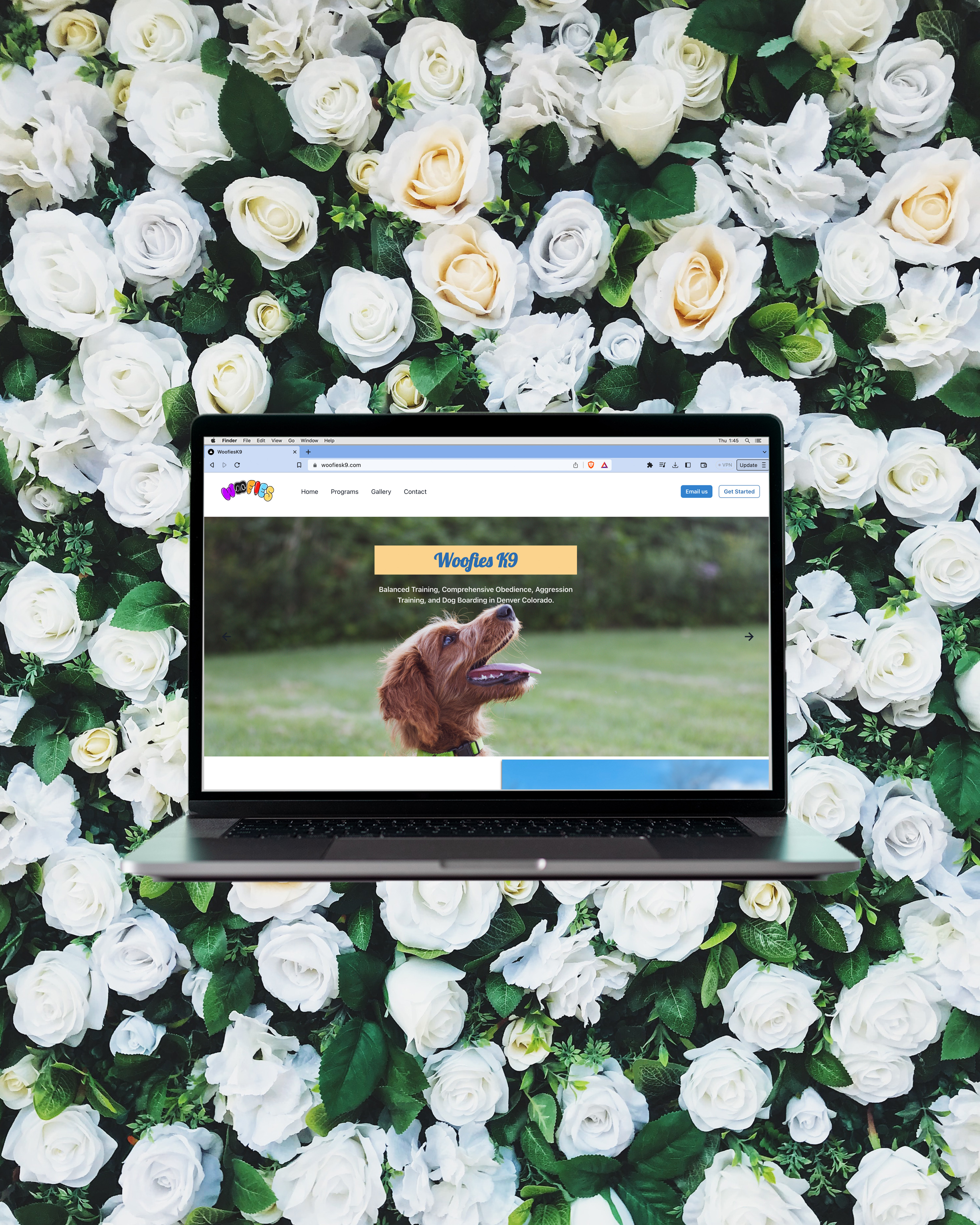 daybreak-site-image